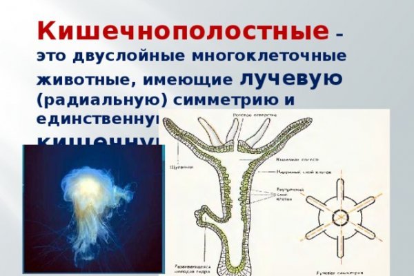 Кракен kr2connect co