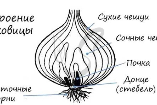 Как пополнять кракен тор