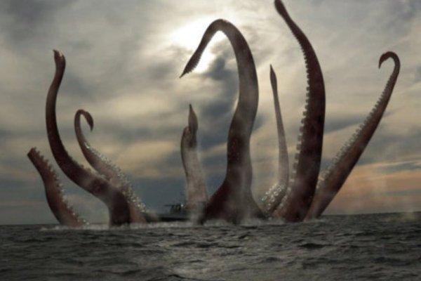 Kraken домен